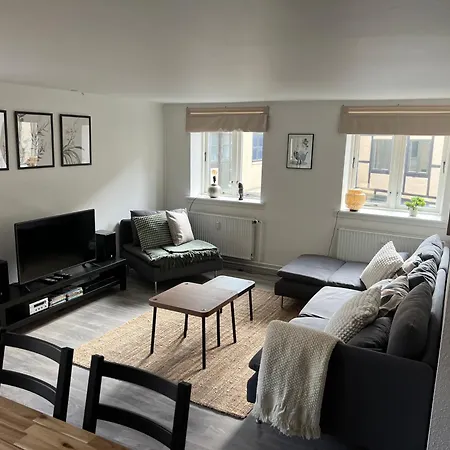 Visit Wonderful Center - 3 Bedroom Apartament Odense