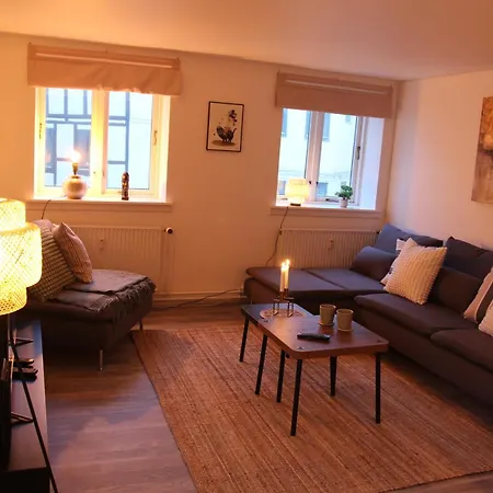 Visit Wonderful Center - 3 Bedroom Apartament Odense